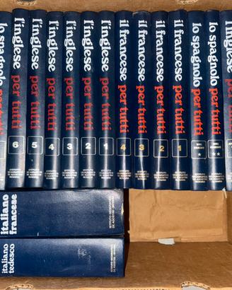 Lotto 25 volumi manuali e dizionari di lingue