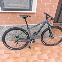 Bicicletta Cube analog 29