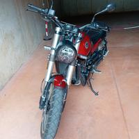 Benelli Leoncino 500 - 2021