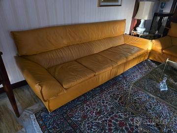 Divani in pelle