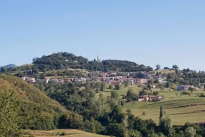 Capannone avicolo