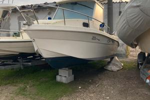 Saver CabinFish 5.50