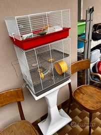 Gabbie criceti orsetti siberiani