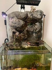 Acquario con vetro curvo e parete paludario