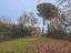 Immagine 21