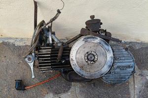 motore mosquito