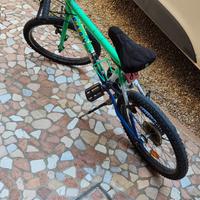 bicicletta da bambino 20 pollici 