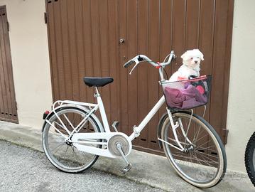 Graziella ( cagnolina esclusa)