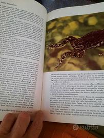 Enciclopedia Gli Animali e la loro vita