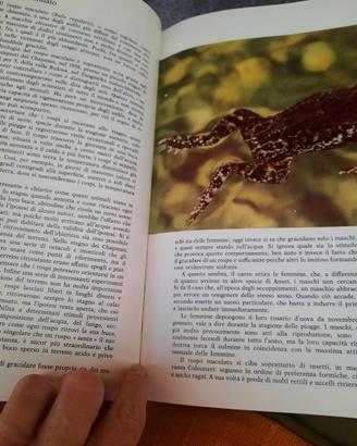Enciclopedia Gli Animali e la loro vita