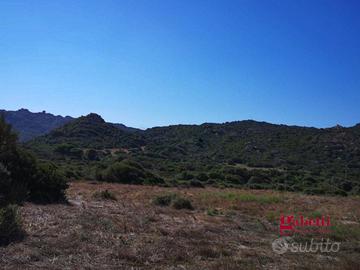 Terreno Agricolo Santa Teresa Gallura [593VCG]