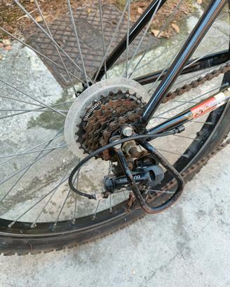 Bicicletta con cambio
