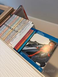 Neon Genesis Evangelion