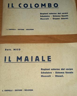 RIVISTE 1924