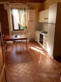 AP14 - Bettolle appartamento di mq 55