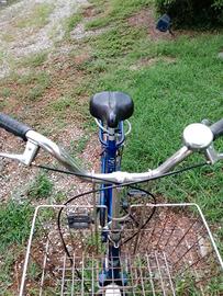 Bicicletta tipo Graziella.