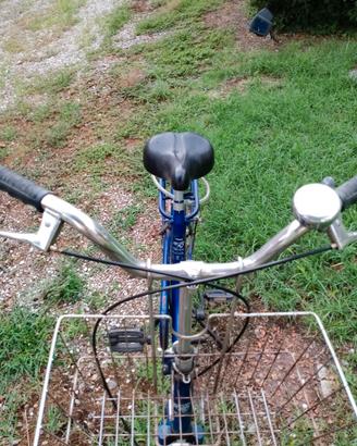 Bicicletta tipo Graziella.