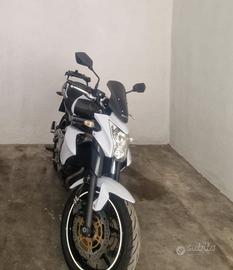 Kawasaki er6n