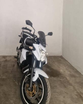 Kawasaki er6n