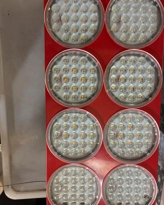 ZNET 8 Indoor Light