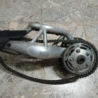 monobraccio ducati Monster 