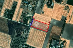 TER. AGRICOLO A FOGGIA