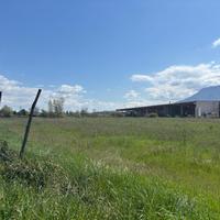 Terreno Agricolo Anagni [Cod. rif 3228129VCG]