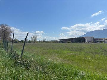 Terreno Agricolo Anagni [Cod. rif 3228129VCG]