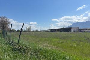 Terreno Agricolo Anagni [Cod. rif 3228129VCG]
