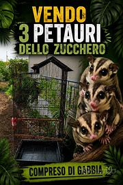 Petauri dello zucchero