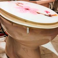 *Sanitari water rosa Ideal standard*