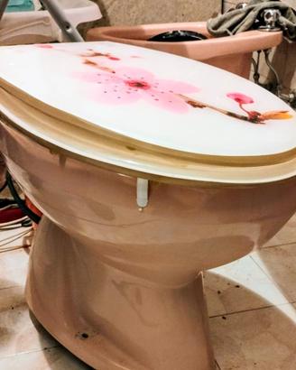 *Sanitari water WC rosa Ideal standard*