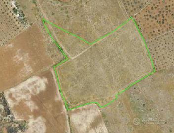 Terreno agricolo