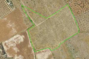 Terreno agricolo