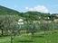 Immagine 7