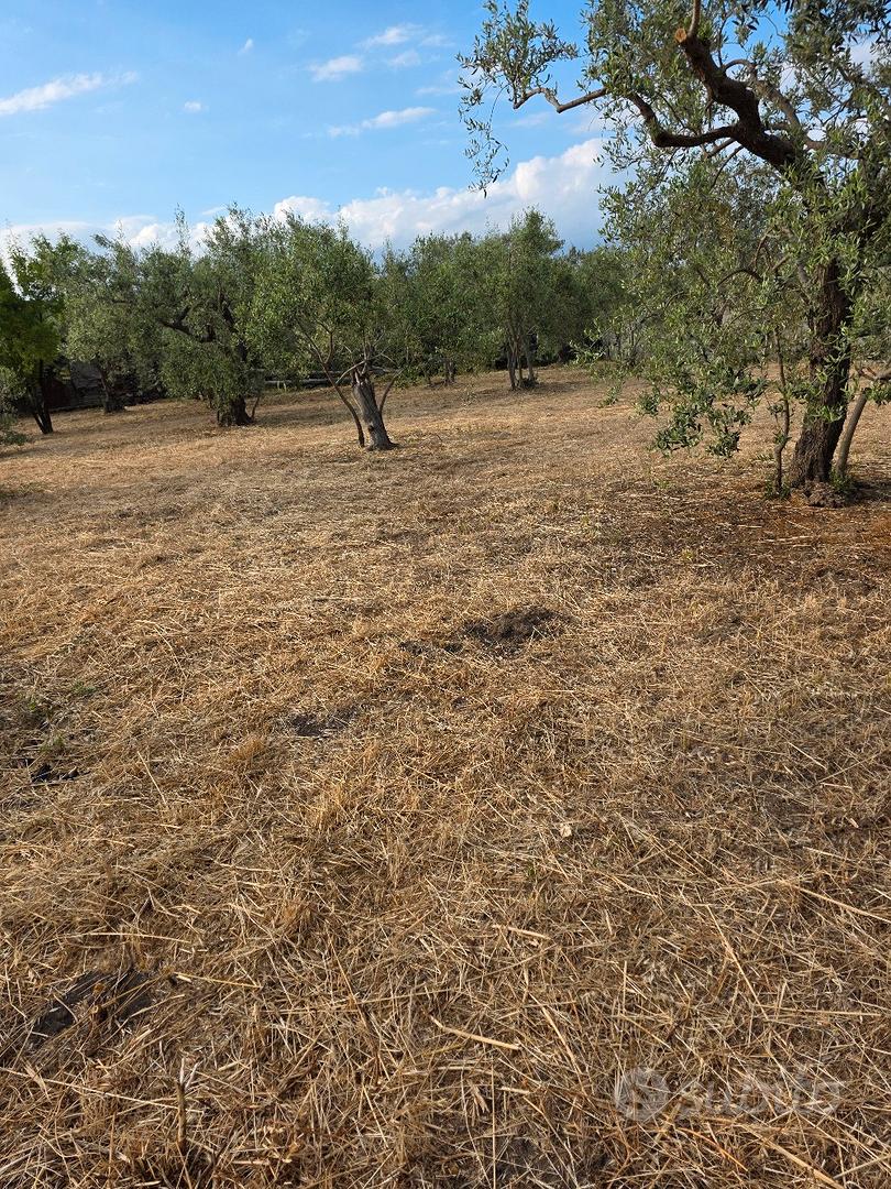 terreno agricolo tutto pianeggiante 4000 metri - Vista 2