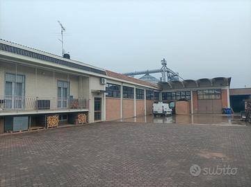 Capannone artigianale