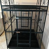 Grande voliera per grandi papagalli