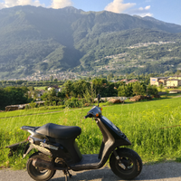 Piaggio thyphoon