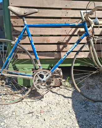 bicicletta moser 