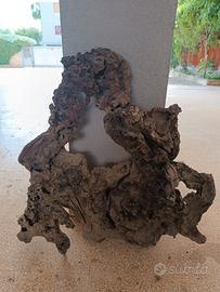 Pezzo di radice albero