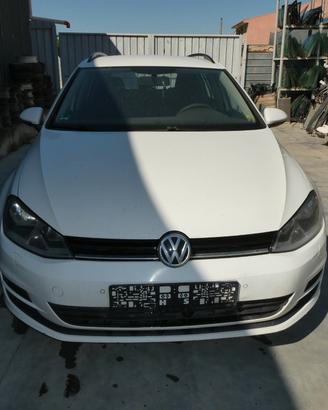 Ricambi usati per VOLKSWAGEN GOLF 7 VARIANT 1.6 TD