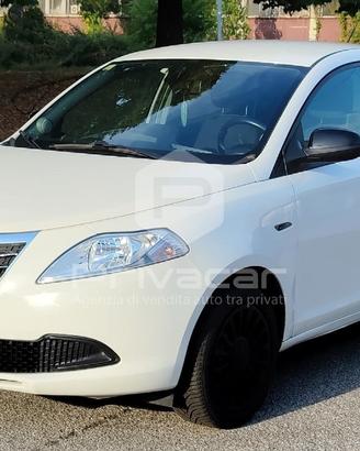 LANCIA Ypsilon 1.2 69 CV 5 porte Elefantino