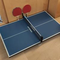 tavolino ping pong artengo come nuovo
