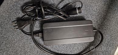 raymon trailray carica batteria