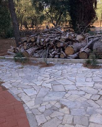 Legna di pino
