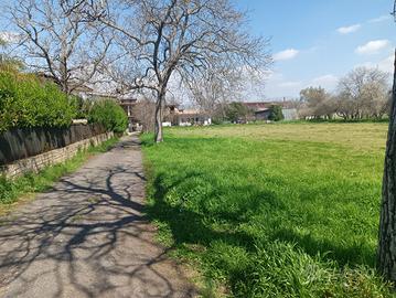 Terreno Agricolo pianeggiante