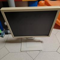 monitor Computer 