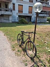 Bicicl