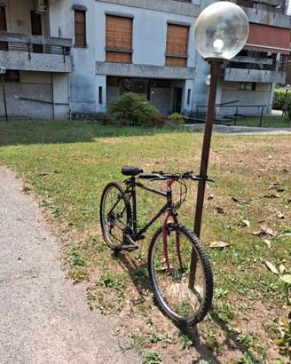 Bicicl